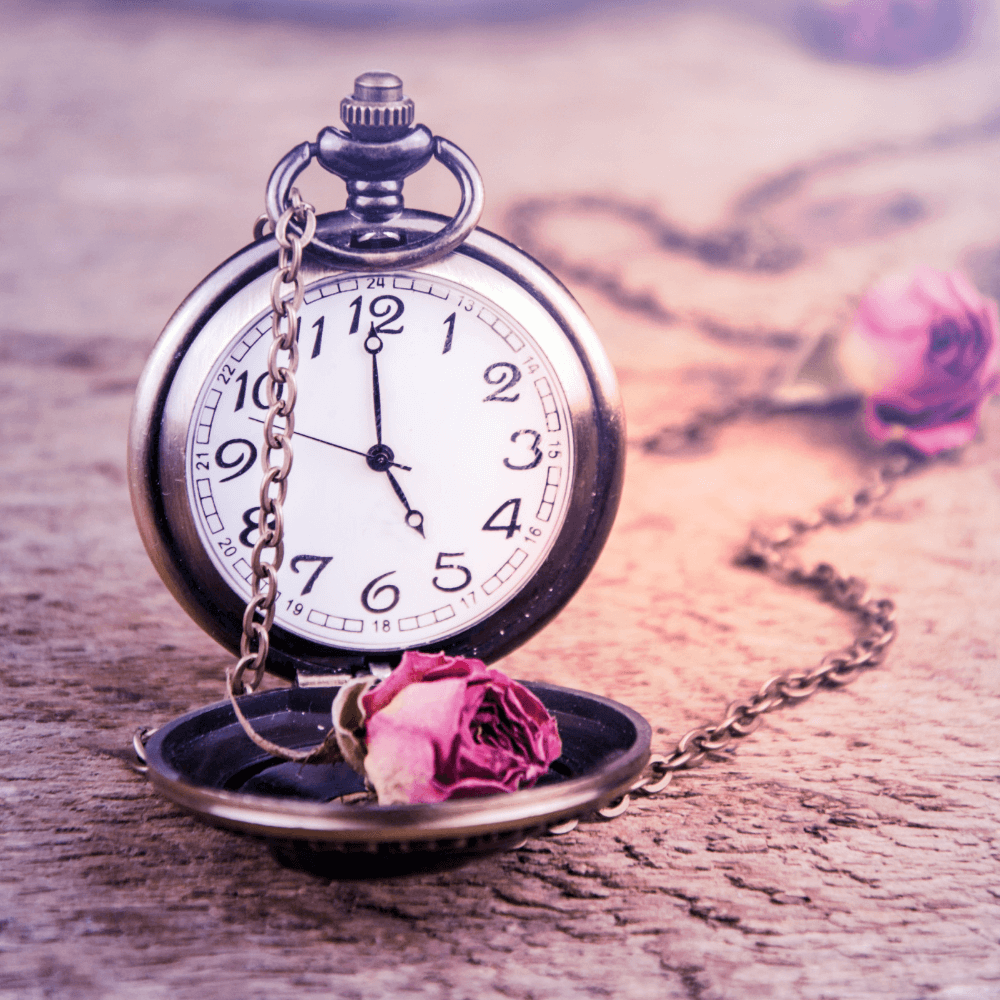 Clock showing 5 o'clock