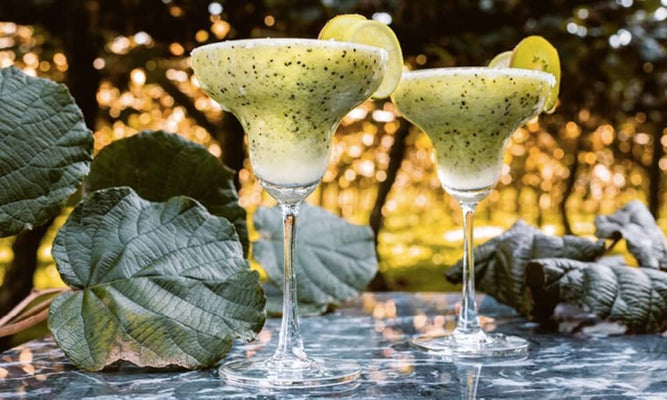 Frozen Kiwifruit Margarita Cocktail Recipe