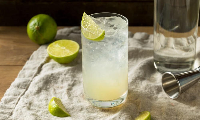 Vodka Lime Rickey Cocktail Recipe
