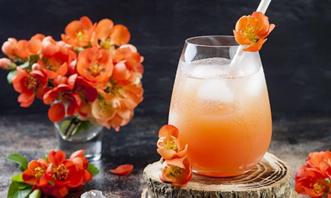 Spring Blossom Cocktail Recipe
