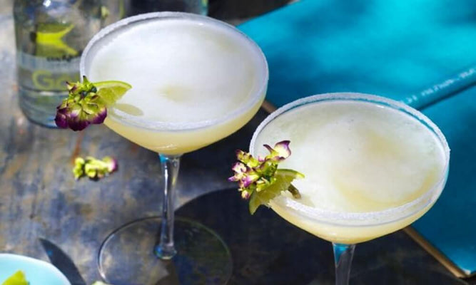 Classic Daiquiri Cocktail Recipe