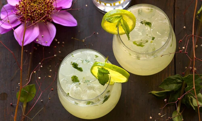 Classic Gimlet Cocktail Recipe