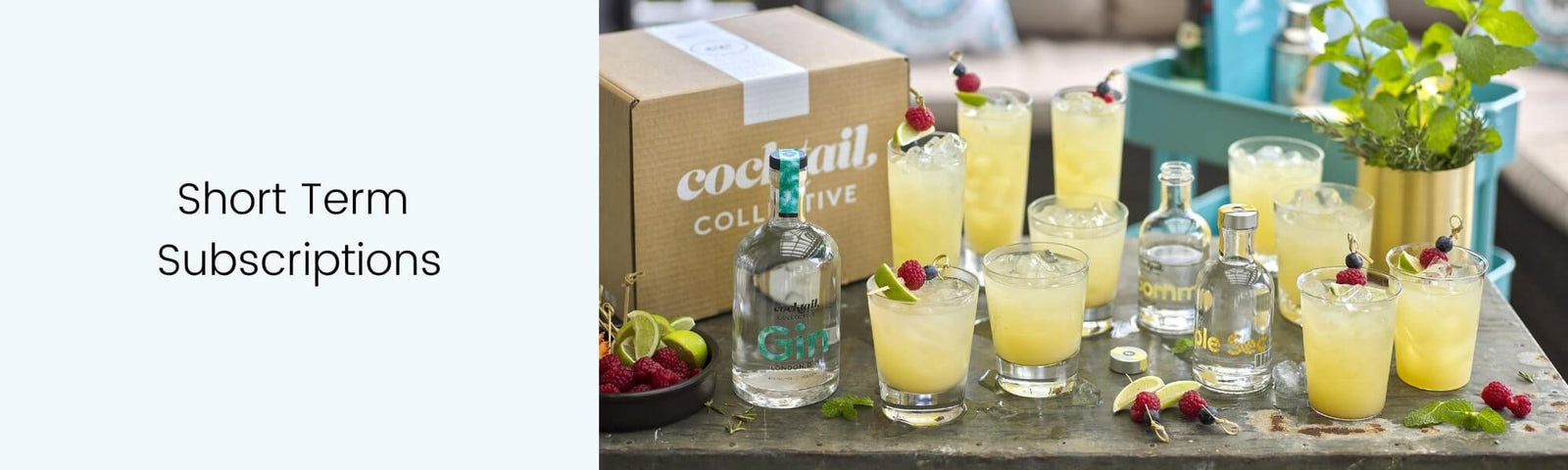 Short Term Subscriptions homepage banner image with cocktalis on deck