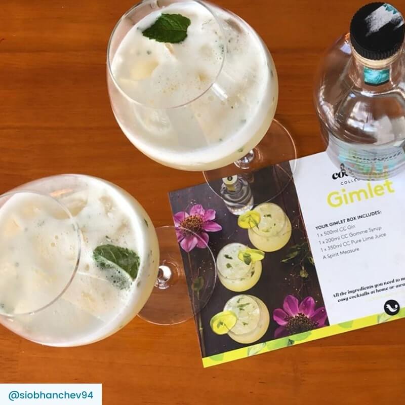 Two Gimlet cocktails with a mint leaf garnish, recipe card and bottle of Gin