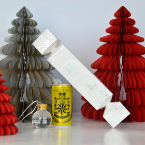 Gin & Tonic Christmas Crackers