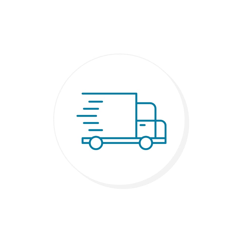 Speedy delivery van graphic