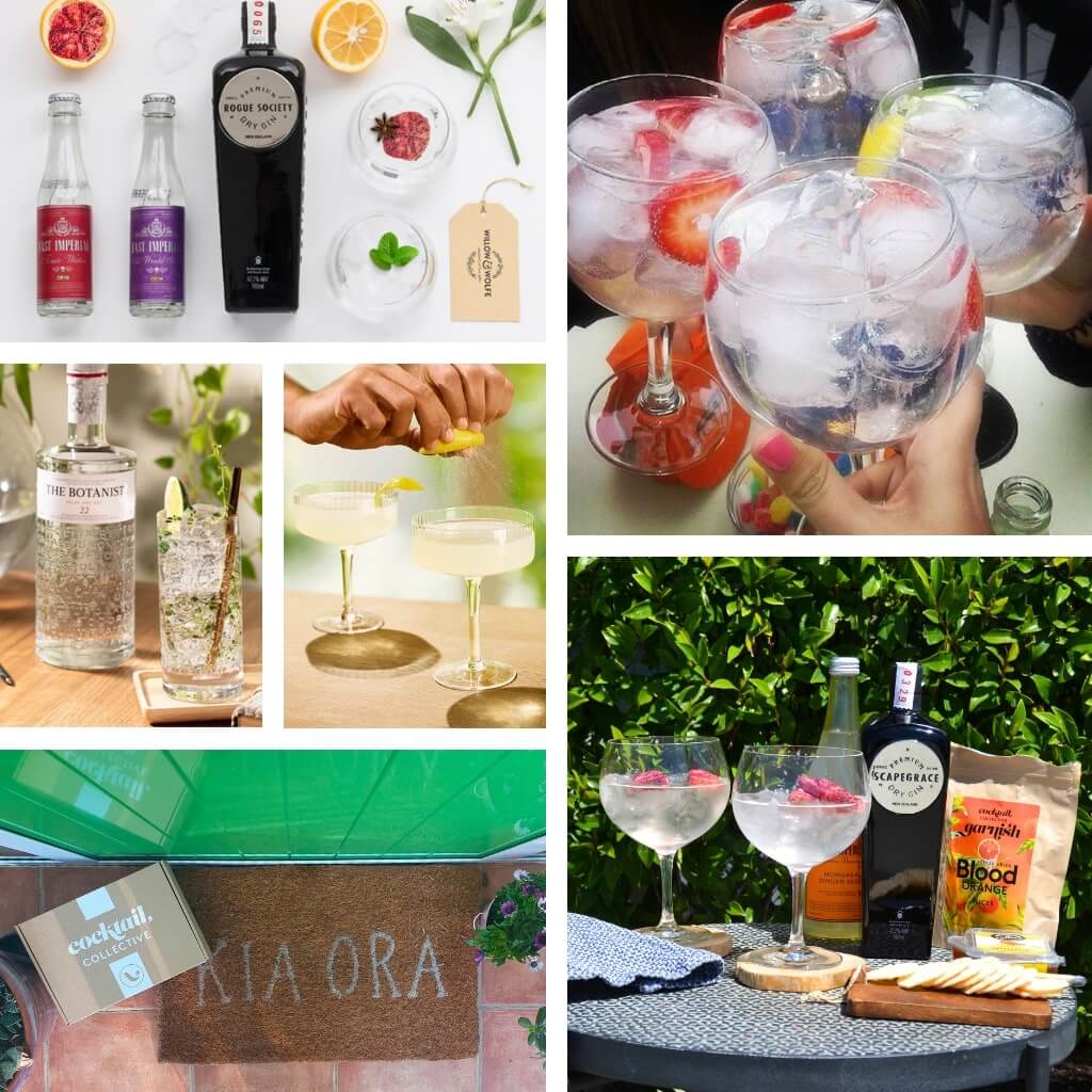 Gin subscription with NZ Gins and tonics