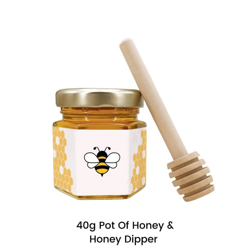 Honey Pot and dipper