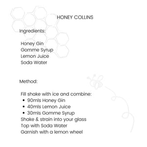 Honey Collins Recipe using Honey Gin, Lemon Juice and Soda Water