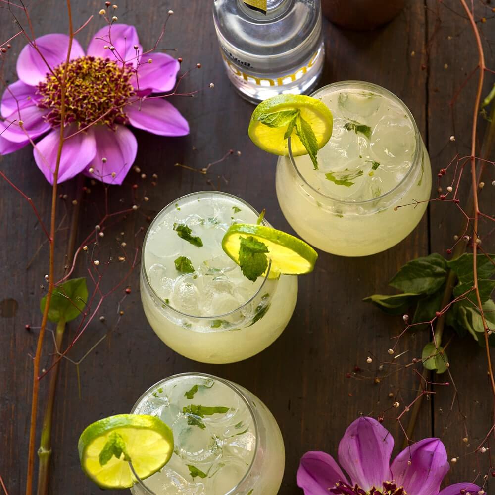 3 tumblers of Cocktail Collective's Gin Gimlet cocktails, garnished with lime slices, sitting situated on a wooden table next to purple flowers