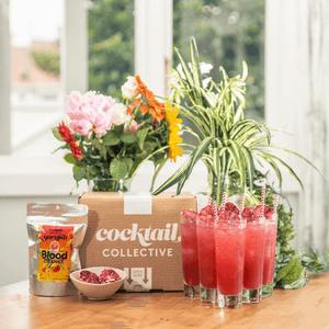 Cocktail Collective cocktail box with 6 tall, red Beachcomber cocktails & green plants & vase of flowers sitting on a wooden bench | Cocktail Collective